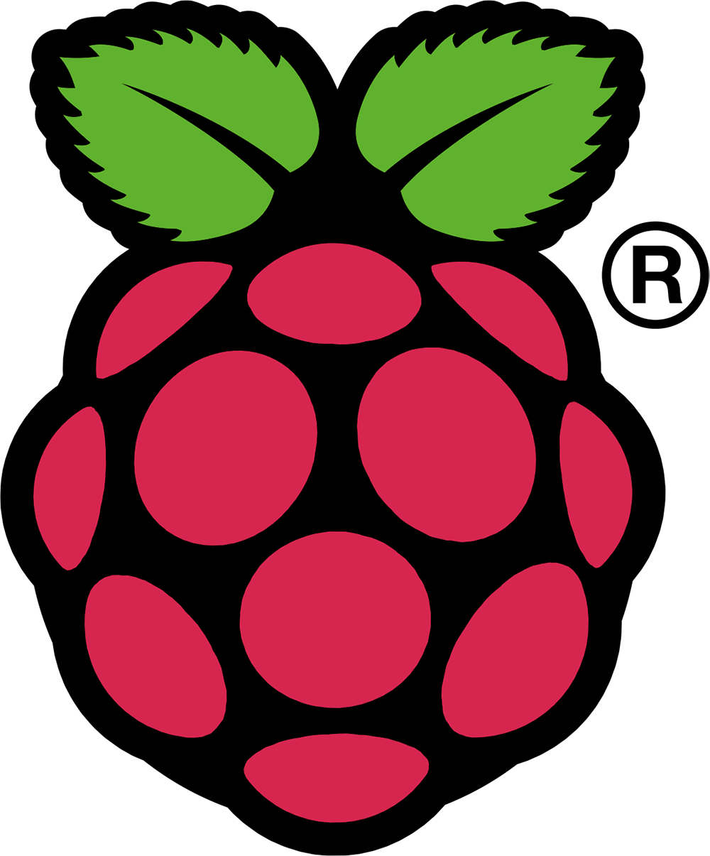 Raspberry Pi logo 